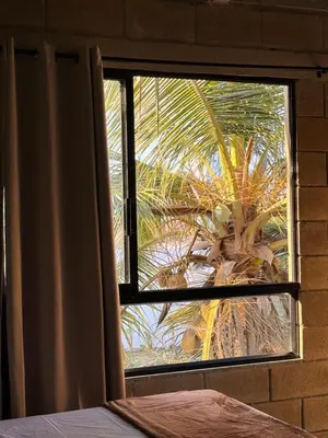 a window in a room with a palm tree at Aira Hotel in Coveñas
