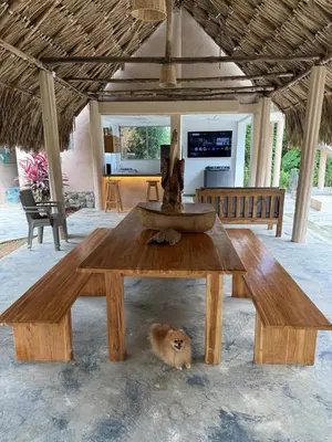 a cat laying under a wooden table with a fountain at Cabaña de Lujo en Isla Fuerte VIP in Isla Fuerte