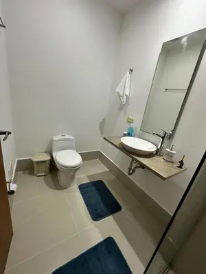 a bathroom with a toilet and a sink and a mirror at CONDOMINIO LAGUNA CLUB 