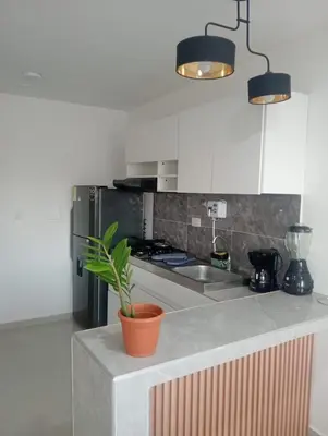 a kitchen with a potted plant sitting on a counter at Modern & Cozy Apartment Near the Beach in Cartagena de Indias