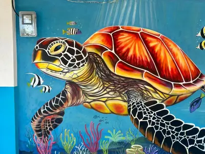 a turtle swimming in the ocean painted on a wall at Costa Azul Isla Fuerte in Isla Fuerte