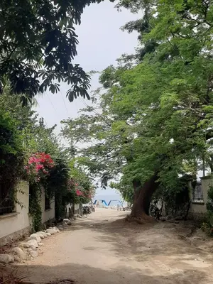 a tree on the side of a dirt road at Bello Horizonte * Unido Al Mar in Santa Marta
