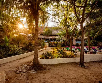 two palm trees in a park with the sun setting at Blue Apple Beach in Tierra Bomba