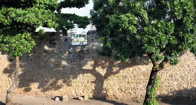 a stone wall with a shadow of a tree on it at Casa Edith in Cartagena de Indias