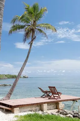 two chairs and a palm tree on the beach at Cabana SalSiPuedes in Tintipan Island