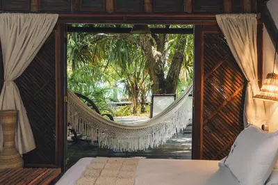 a hammock in a room with a tree at Isla Fuerte Eco House in Isla Fuerte