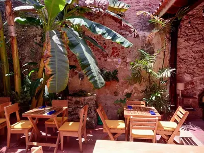 a restaurant with wooden tables and chairs and a plant at Casa Be Getsemaní in Cartagena de Indias