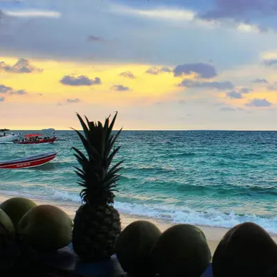 a pineapple on a beach with a boat in the ocean at Pura Vida Baru - La Casa del Cholo in Baru