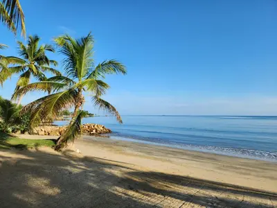a beach with two palm trees and the ocean at Condominio Milagros Coveñas in Coveñas