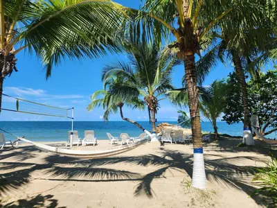 a hammock on a beach with palm trees and the ocean at Condominio Milagros Coveñas in Coveñas