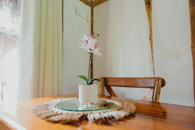 Gallery image of Eco Hotel Villa Martha in Turbaco
