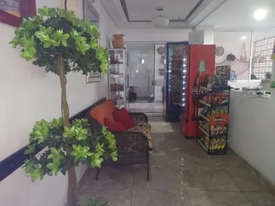 a living room with a tree in the corner at Hotel La Mar Cartagena in Cartagena de Indias