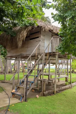 a house with a thatch roof and stairs in front at Isla Múcura Dahlandia in Isla Mucura
