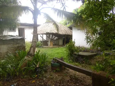 a house with a palm tree in front of it at Hostal Santa Clara in San Antero