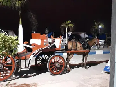 a horse drawn carriage on the beach at night at Hotel Don Toño Tolú in Tolú