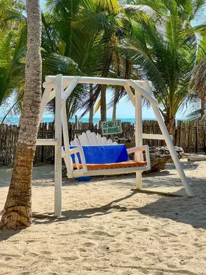 a swing on the beach next to a palm tree at Hotel Camino Verde in Tolú