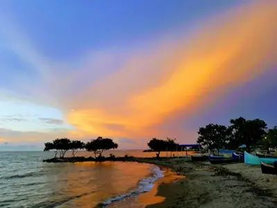 a beach with trees in the water with a sunset at Costa de Vikingos in Tolú