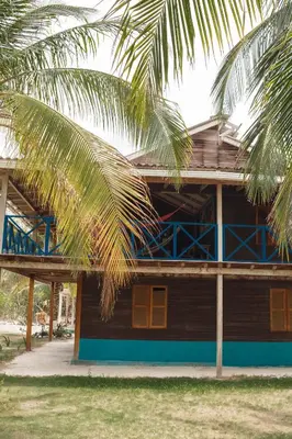 a house with a palm tree in front of it at Isla Grande Eco-Hostal in Isla Grande
