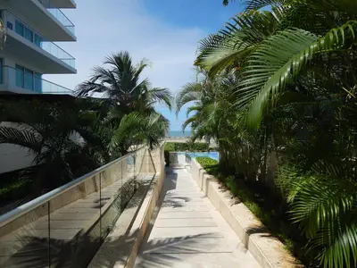 a walkway with palm trees next to a building at Edificio Morros Vitri in Cartagena de Indias