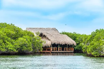 a house in the middle of the water with trees at Hotel Las Islas in Baru