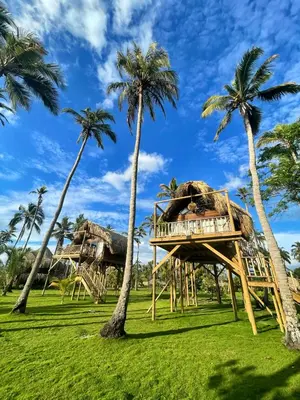 a resort with palm trees on the grass at Hotel Isla Mucura in Isla Mucura