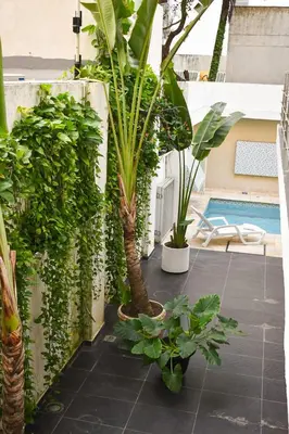 a courtyard with plants and a swimming pool at Hotel Or Cartagena in Cartagena de Indias