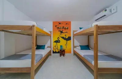 a room with two bunk beds in a room at Hostal Casa Tropicalia in Barranquilla