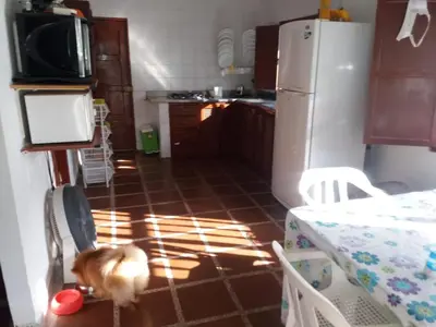 a dog standing in the middle of a kitchen at Cabaña Coveñas Punta Bolivar in Coveñas
