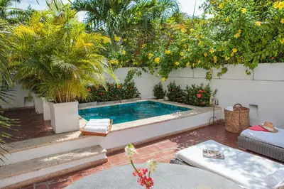 a swimming pool in a backyard with trees at Hotel Casa San Agustin in Cartagena de Indias