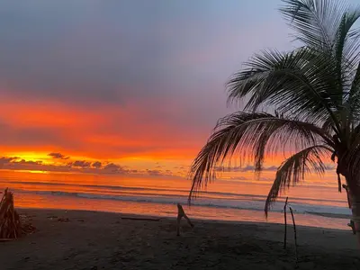 a palm tree on a beach with a sunset at Cabaña Playa De Los Venados in San Bernardo del Viento