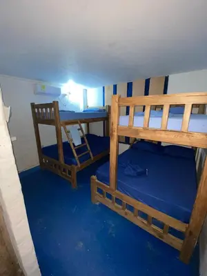 Gallery image of Hostal Coral Blue in Rincón