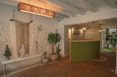 a room with potted plants on the wall at Casa Amanzi Cartagena by Bernalo Hotels in Cartagena de Indias
