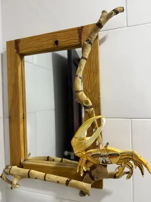 a gecko hanging from a mirror in a bathroom at Alojamiento Bityn in Paso Nuevo