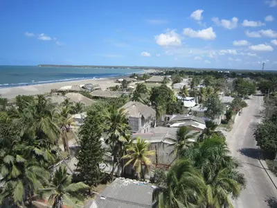 an aerial view of a beach with palm trees at Hotel Valmar in Cartagena de Indias