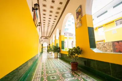 a hallway of a building with yellow walls and plants at Hotel Balcones de Bocagrande in Cartagena de Indias