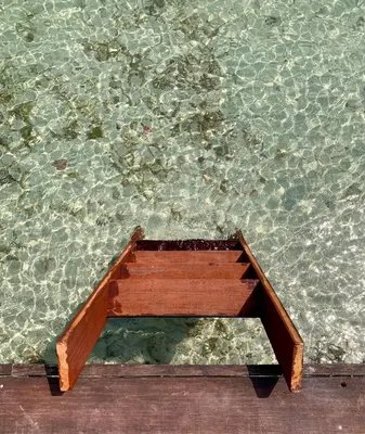 a wooden bench in the middle of some water at Fragata Island House in Isla Grande