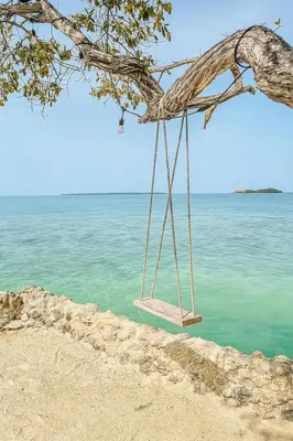 a swing hanging from a tree on the beach at Fragata Island House in Isla Grande