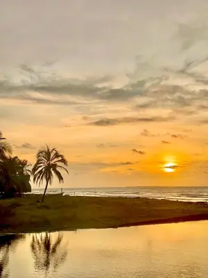 a sunset on a beach with a palm tree and the ocean at Rainbow Hostel in San Bernardo del Viento