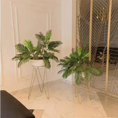 two plants in a room next to a mirror at Hotel OR Suites in Barranquilla