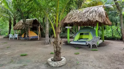 a tent and chairs in front of a tree at Eco-Camping El Frutal in Isla Grande