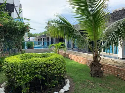 a palm tree in the yard of a house at Apartamento en Coveñas cómodo y acogedor in Coveñas