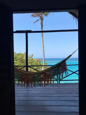 a hammock on a beach with a palm tree at Isla Única- Islas del Rosario in Isla Grande
