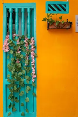 a blue window with a plant on a wall at Casa Renacer in Cartagena de Indias