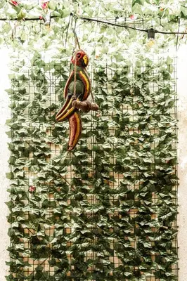 a monkey hanging from a bunch of money at Casa Renacer in Cartagena de Indias