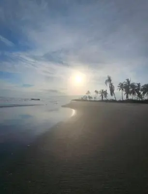 a beach with palm trees and the sun in the sky at AGUAMARINA House in San Bernardo del Viento