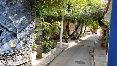 a street with trees on the side of a building at Casa Azulita RNT# 64888 in Cartagena de Indias