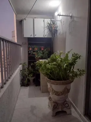 a hallway with a large pot with plants in it at Apartamento ideal en Cartagena in Cartagena de Indias