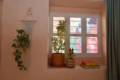 a window with plants on a shelf in a room at GREAT LOCATION ! 4 Bedroom Home in the Heart of Cartagena in Cartagena de Indias