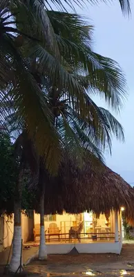 a resort with palm trees and a table and chairs at Cabañas La Cuchita RNT 61621 in Coveñas