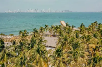 an aerial view of a beach with palm trees and the ocean at Vista Mare Beach House in Tierra Bomba